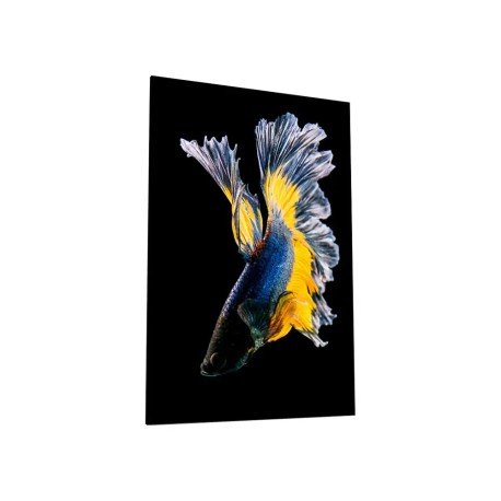 Картина на стекле 40х60 "Бойцовая рыбка 3", арт. WB-02-65-04